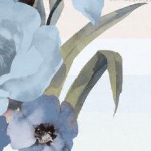 Gạch ốp tường Trường Thịnh INDIAN STONE 25752-HL-B2